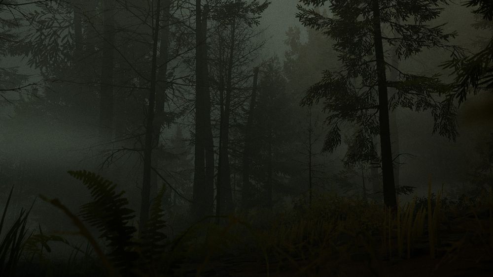 A dark and murky wood underbrush 