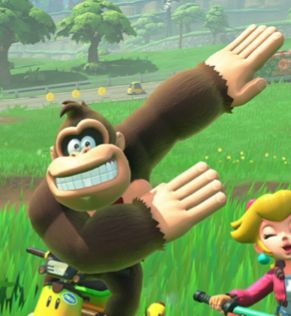 Donkey Kong il dab hihihi