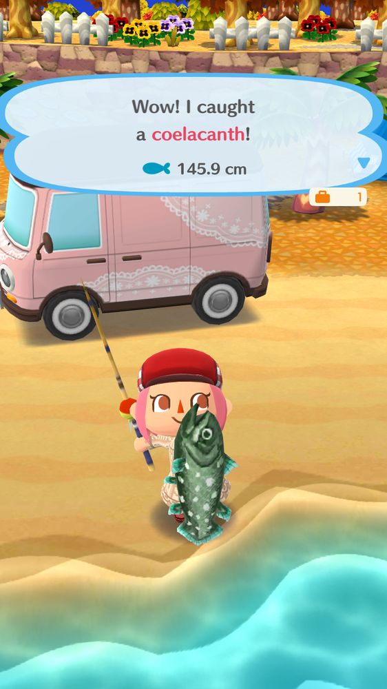 Animal crossing player holding up a coelacanth fish at the beach in animal crossing pocket camp. The text in the image reads as follows:

Wow! I caught a coelacanth!
145.9 cm