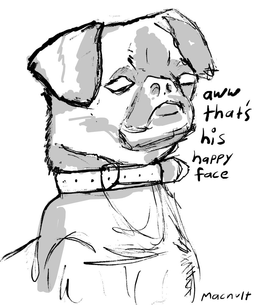 digital sketch of a grumpy looking pup. text reads 