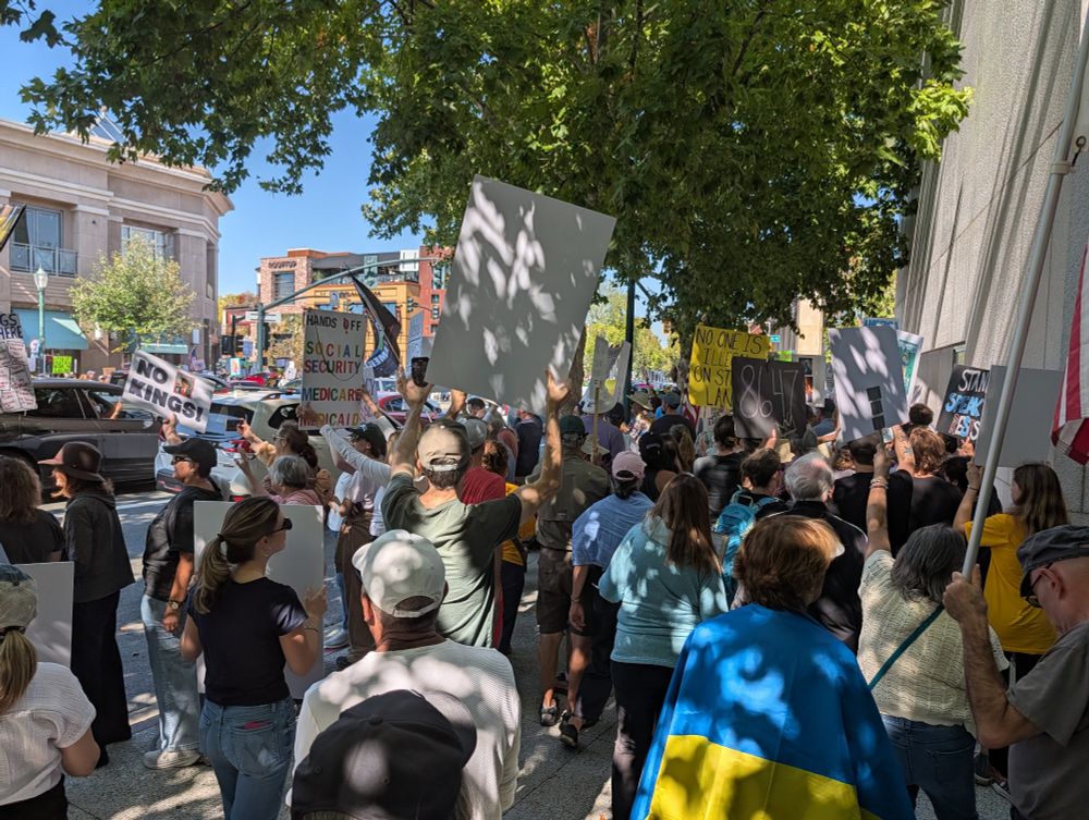 Crowd at the No Kings demonstration 