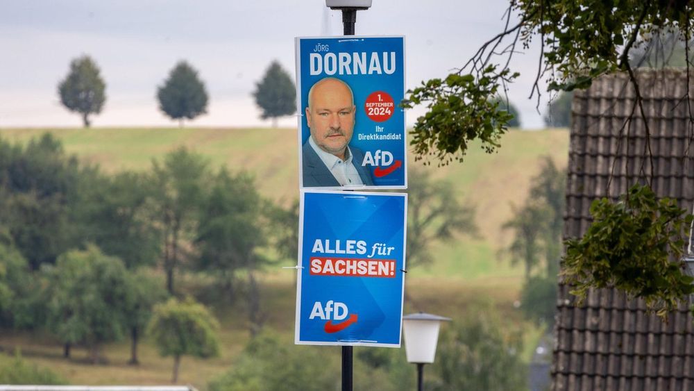 Fast die Hälfte aller Sachsen sehen AfD als normale Partei