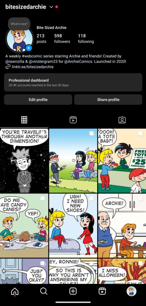 Screenshot of an Instagram profile showing the new TikTok like grid layout.