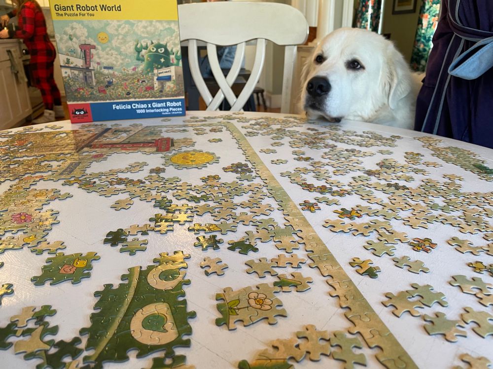 Bear, a large Great Pyrenees-Marema mix observes the progress of the holiday puzzle. His head rests comfortably on the table, he is seated though his body is not visible 