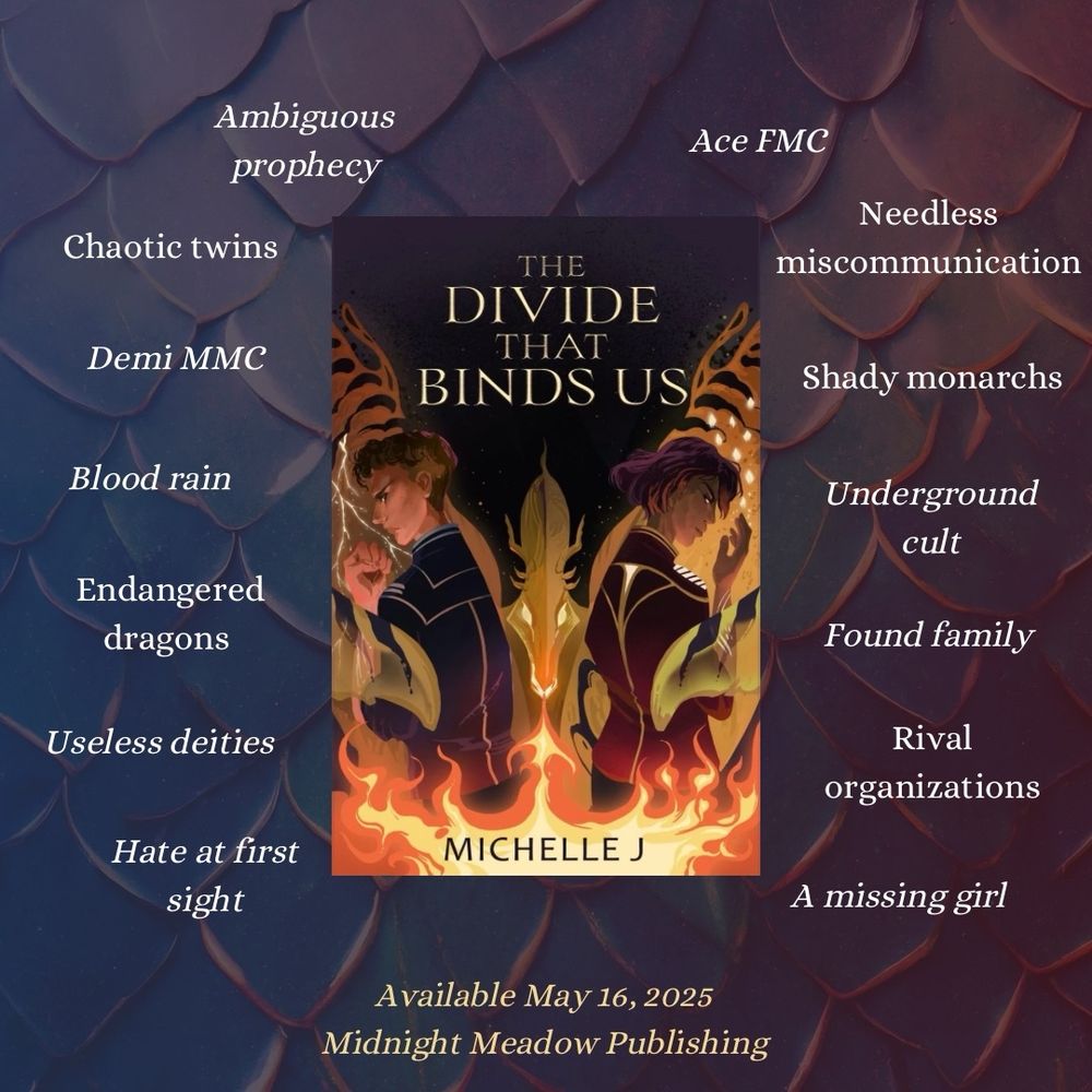 Trope graphic of THE DIVIDE THAT BINDS US by Michelle J. Available May 16th, 2025 with Midnight Meadow Publishing.