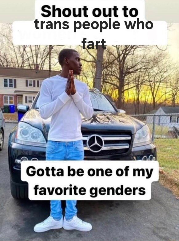 A man standing in front of a car, holding his hands together as if praying, looking to his left. Captions read: "Shout out to trans people who fart
Gotta be one of my favorite genders"