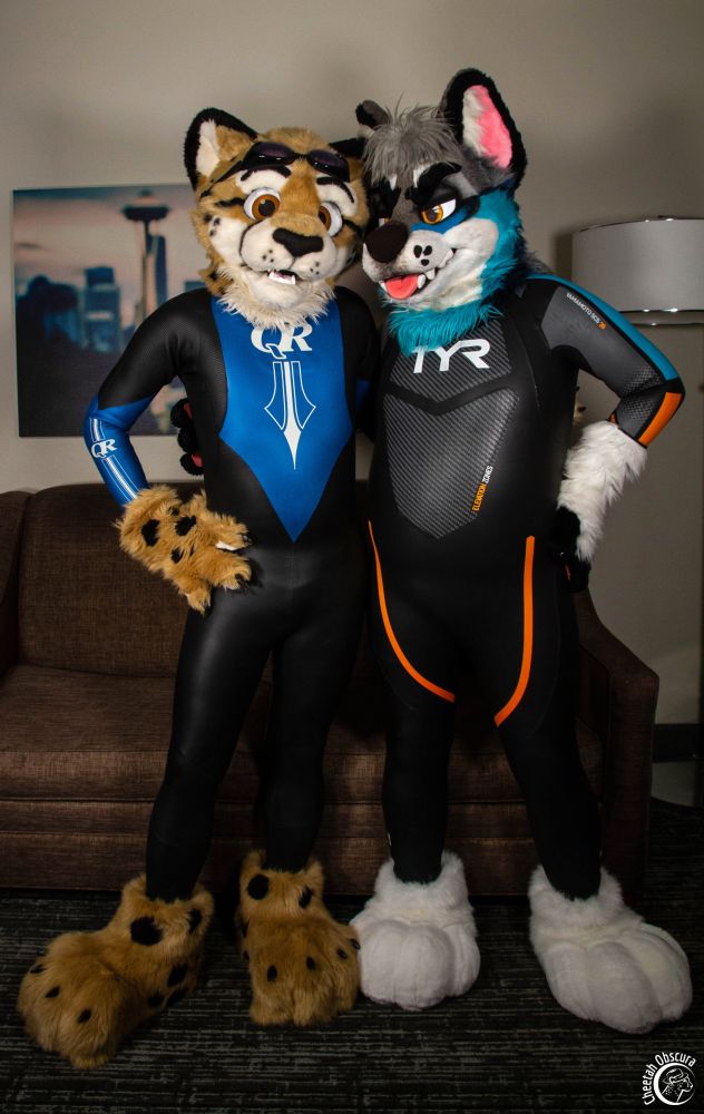 Fursuit photo of Obscura and Morro standing in a hotel room. Obscura is wearing a blue and black QR wetsuit and Morro wearing a black, orange, and blue TYR wetsuit