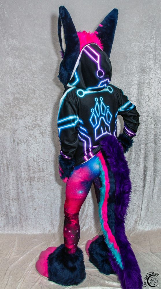 Back view photo of Rezz. They are wearing space print leggings, a Gryphwear synthwave sunset t-shirt, and TRON inspired Apoxon Industries hoodie