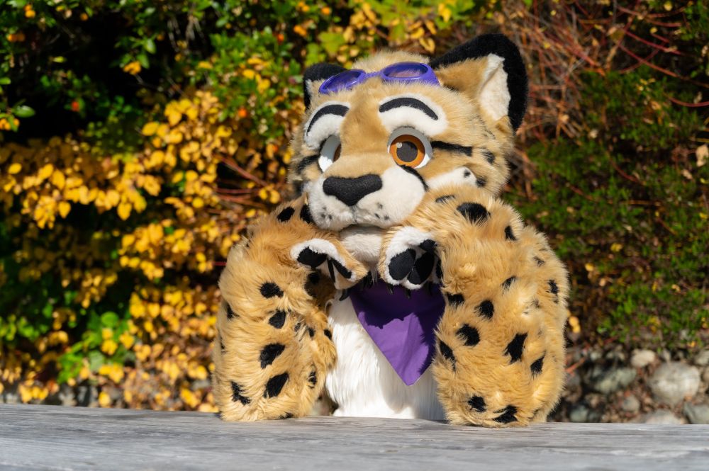 Fursuit photo of Obscura sitting at a picnic table in the sun with chin resting on their handpaws. Fall foliage can be seen in the background