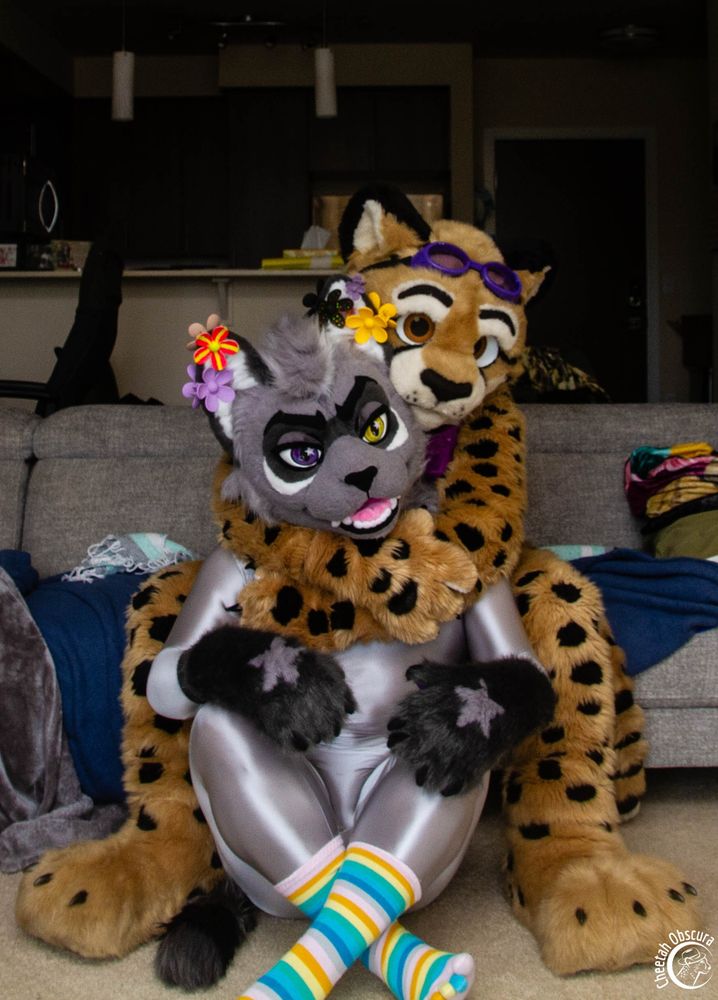 Fursuit photo of Obscura sitting on a sofa and giving Wedge, who is sitting on the floor, a great big hug