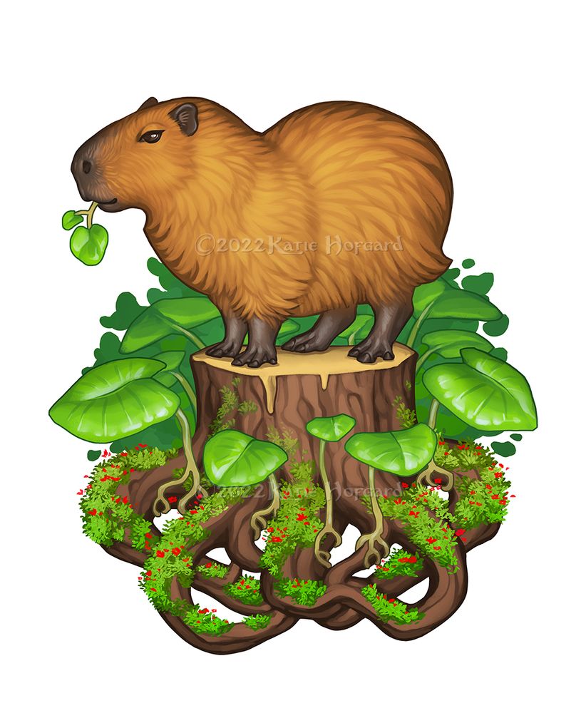 digital illustration of a capybara standing on a leafy moss covered stump, holding a leaf in their mouth.