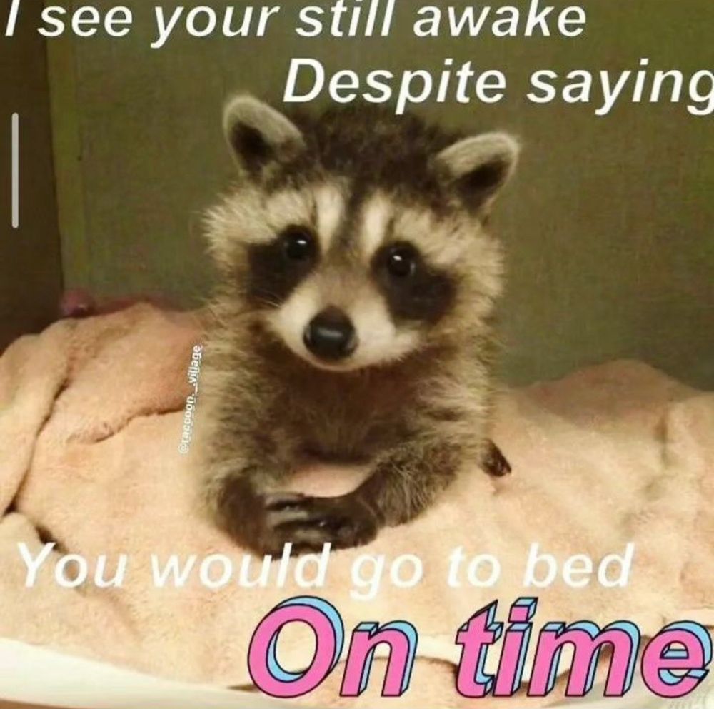 Baby raccoon with paws crossed

Text: I see your still awake
Despite saying
You would go to bed
On time