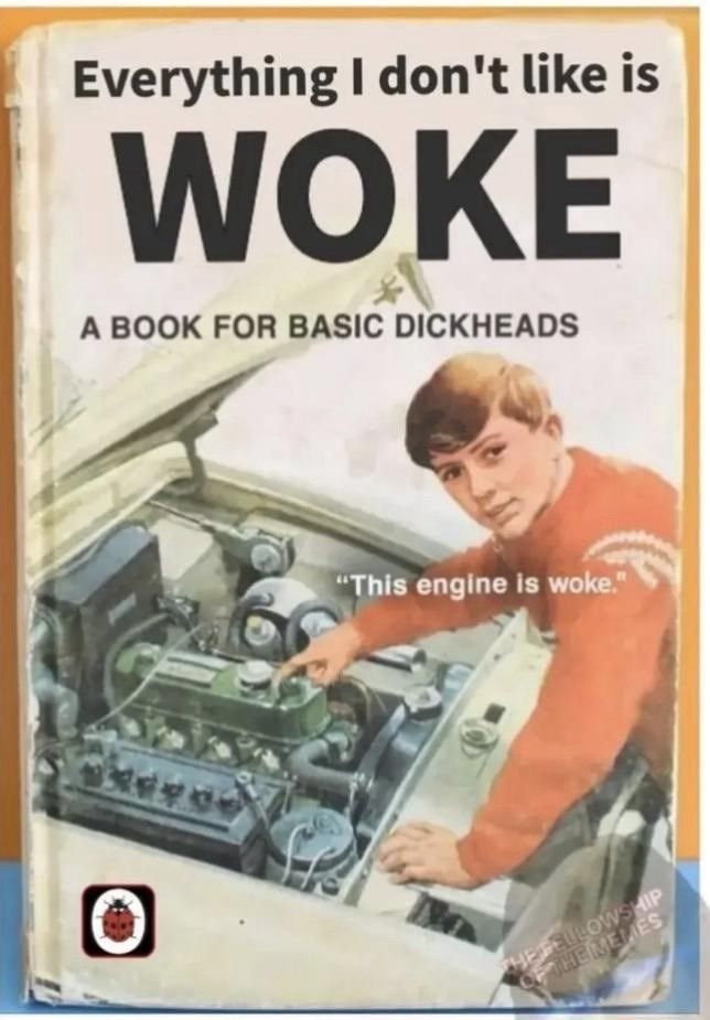 Mock book cover, titled "Everything I don't like is woke: A book for basic dickheads", with picture of person pointing at a car engine saying "This engine is woke".