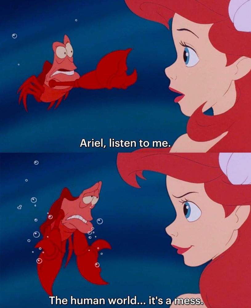 Sebastian from the Little Mermaid telling Ariel: Ariel, listen to me.
The human world... it's a mess.