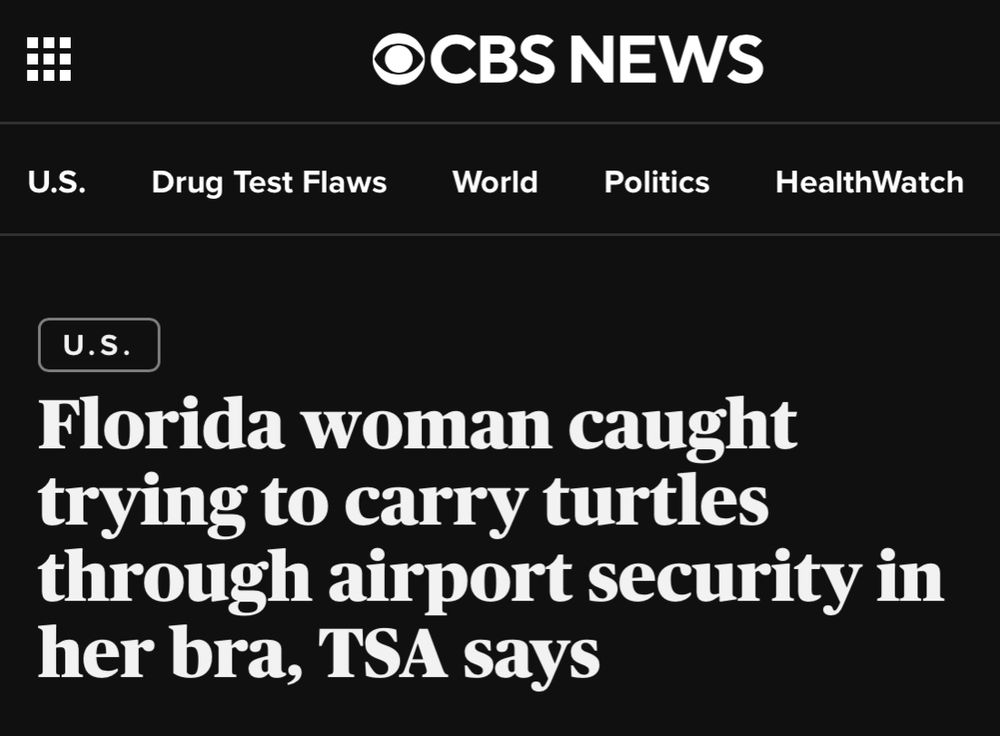 headline:

Florida woman caught trying to carry turtles through airport security in her bra, TSA says