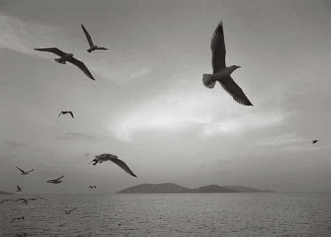 Black and white photograph of Seagulls flying over a wide ocean. Some birds appear distant on the left and a few a close in the centre right of the photo. In the distance, an island can be seen. Above the horizon stretches out to the sea with faint sunlight breaking through the dark overcast sky far away close to the island.