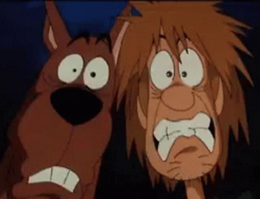 scooby doo and a cartoon character with a scared look on their face