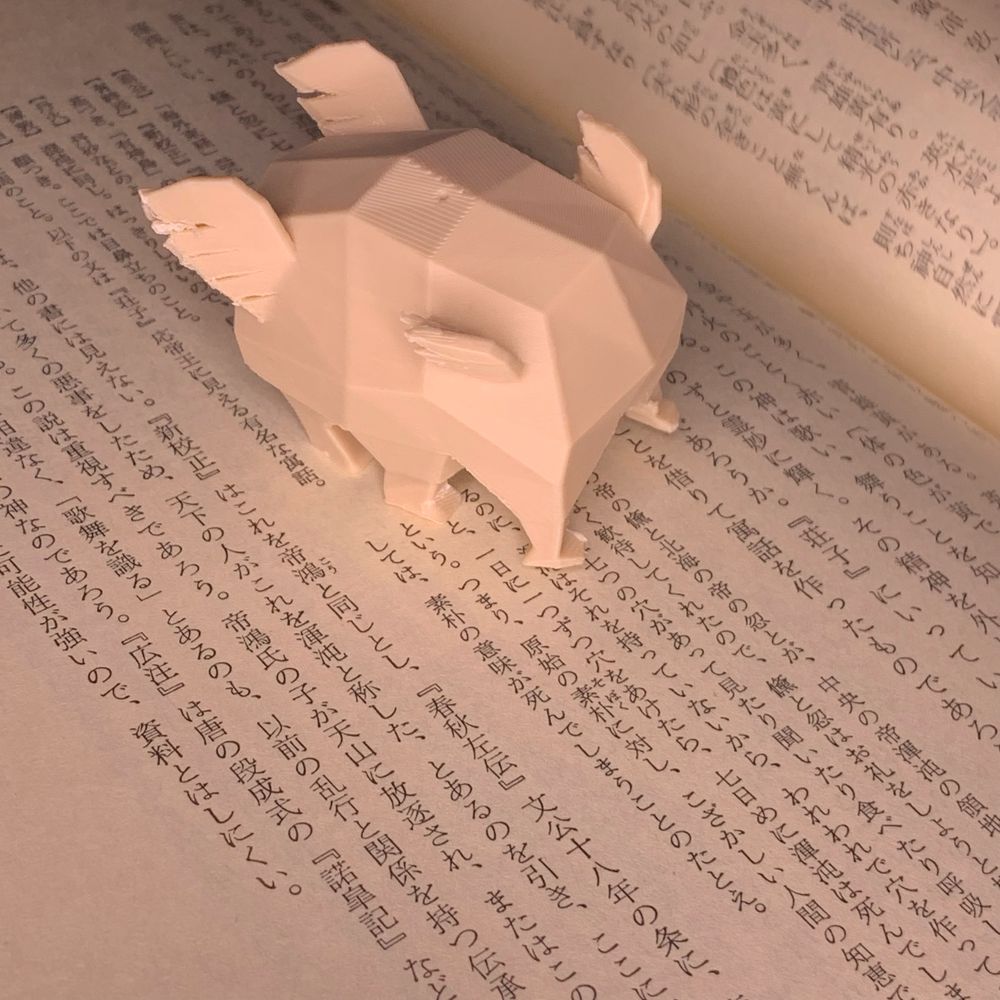 ローポリ風の立体物が本の上に乗っている。肉肉しいボディに足が6本あり、羽が4つ生えている。