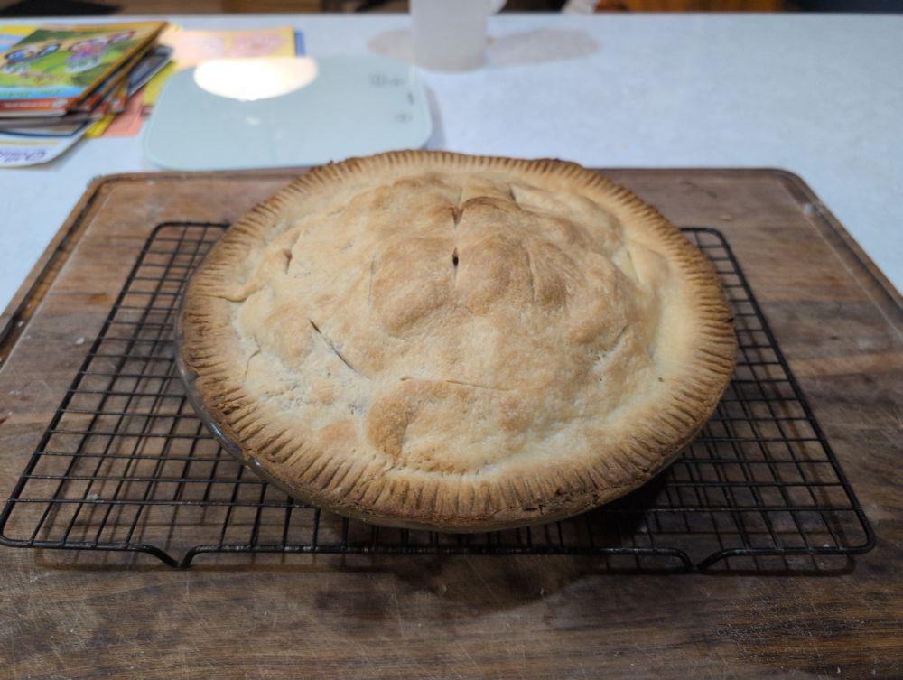 A baked pie, fresh out of the oven, cooling on a wire rack on a cutting board.