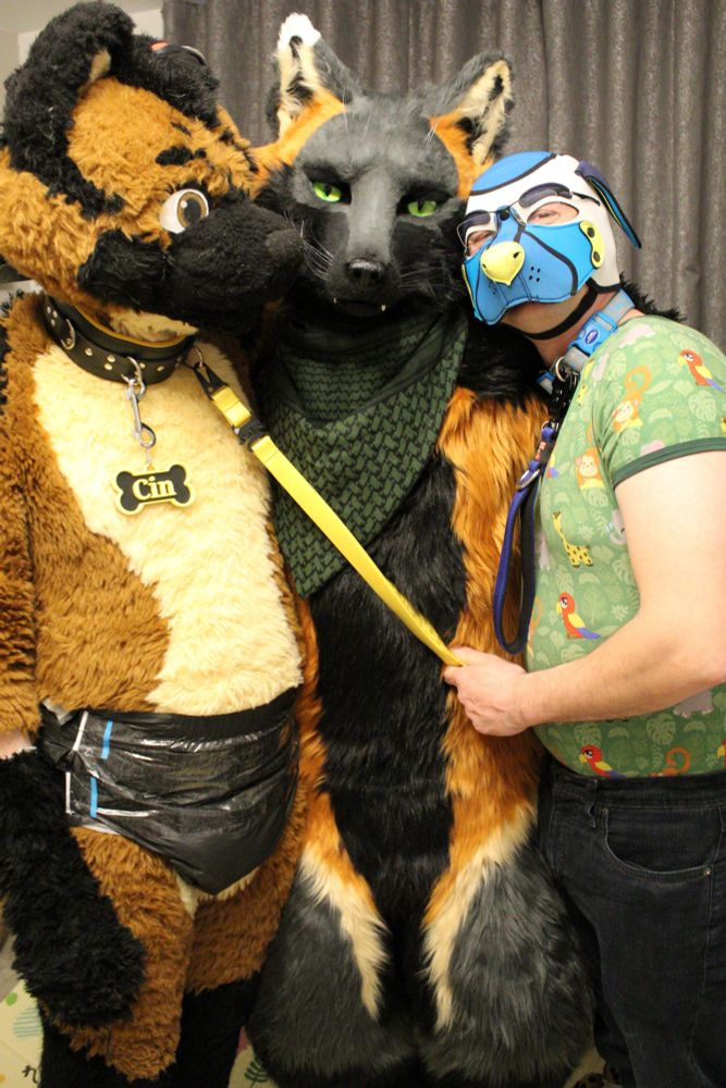 Cin (my fluffy boy) in diapers with my behooded puppy Tobby holding my leash. We're standing, sandwiching Lightning, a strikingly realistic looking anthro cross fox.