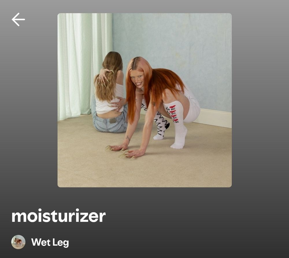 album cover of "moisturizer" by wet leg