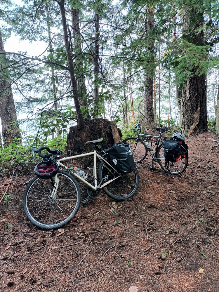 Two bikes with full panier bags standing on a trail, trees in the background.