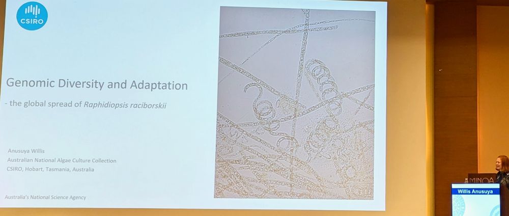 Image of Raphidiopsis raciborskii and title of the talk "Genome diversity and adaptation. The global spread of Raphidiopsis raciborskii.