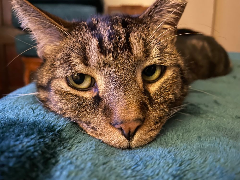 A close-up of Horace after entering Slug-Mode