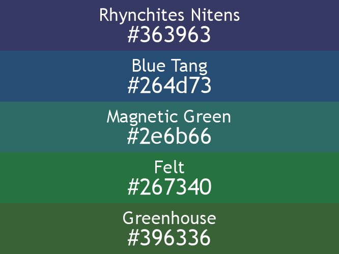 a block of five horizontal color swatches in Rhynchites Nitens (#363963), Blue Tang (#264d73), Magnetic Green (#2e6b66), Felt (#267340), and Greenhouse (#396336).