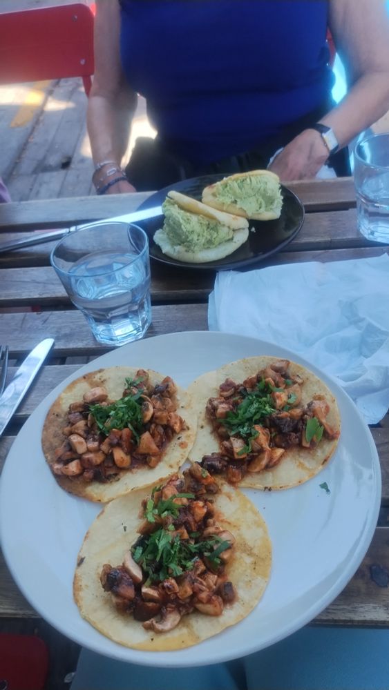3 mushroom tacoson closest plate and 2 cornbread sandwiches across the table. 