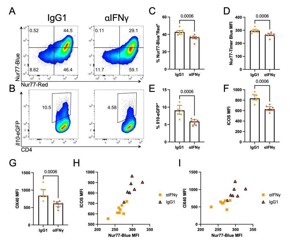 Figure 4 from paper shows how anti-IFNg reduces markers of TCR signal strength and attenuates Tr1 cell differentiation in the Tg4 model