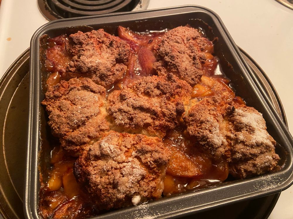 Peach cobbler in a square pan. The sugar on the dough and the peaches has caramelized into a lovely glaze. 