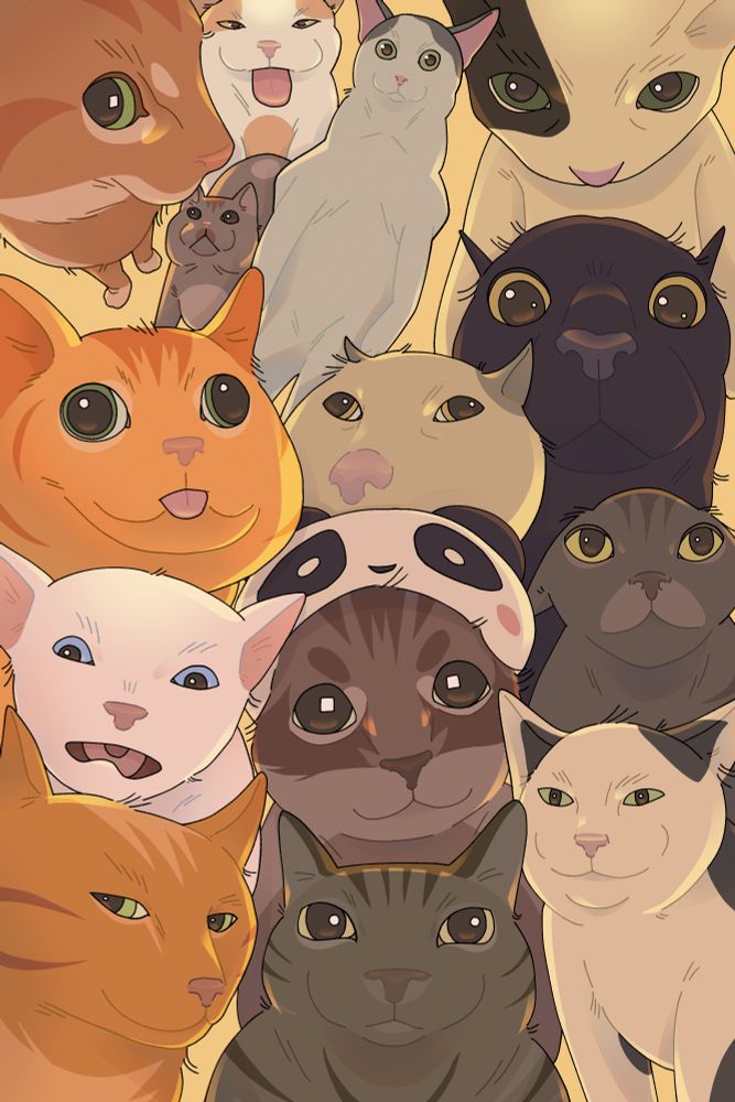 a bunch of meme cars looking and being silly