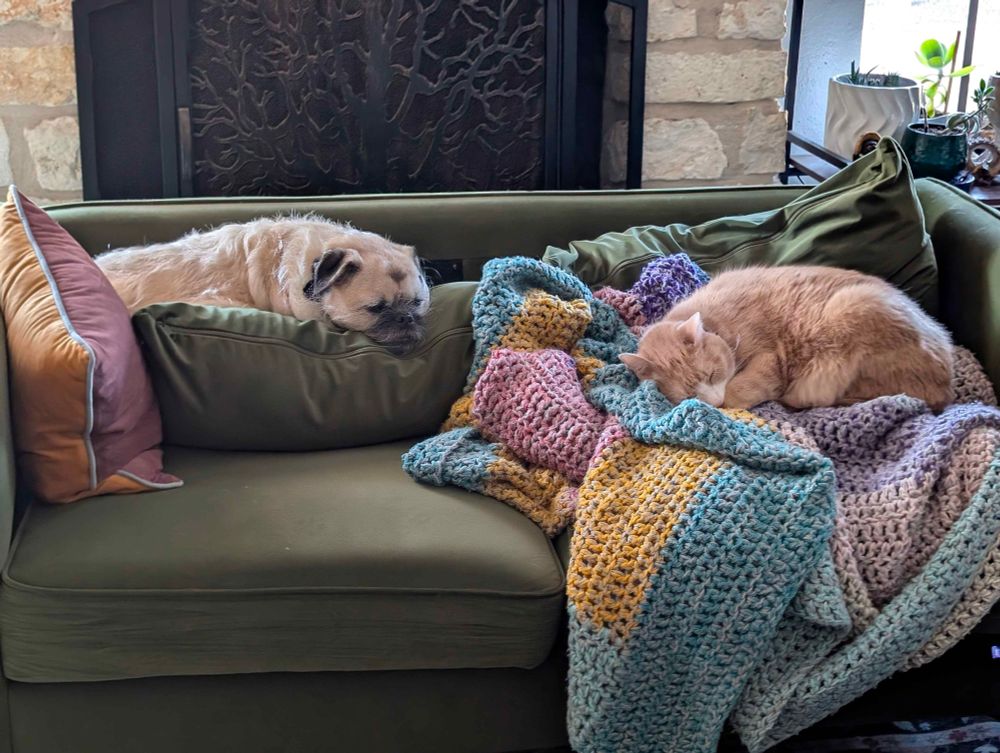 Pug mix and orange cat napping on opposite ends of a green two seat sofa