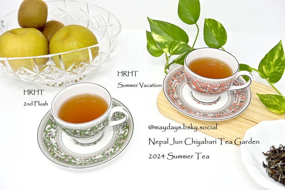 MayDaysのネパール紅茶
2024年の夏摘み