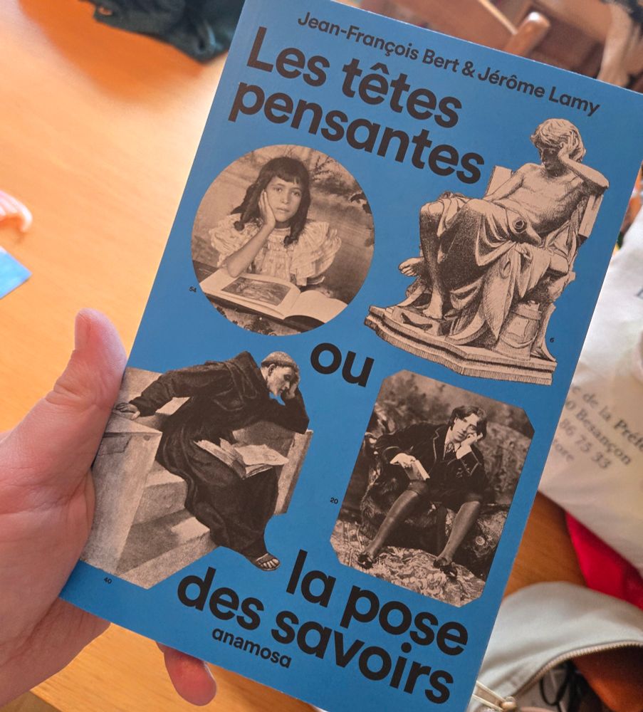 Jean-François Bert et Jérôme Lamy, Les têtes pensantes ou la prose des savoirs chez Anamosa