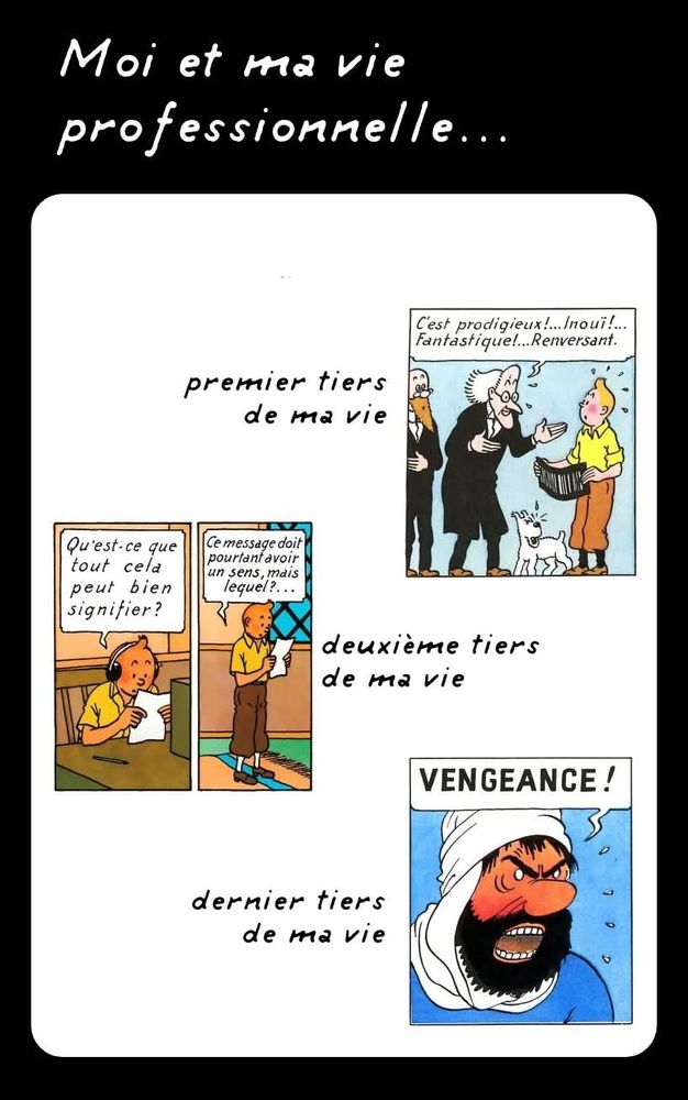 Moi et ma vie professionnelle...
Premier tiers de ma vie : c'est prodigieux ! Fantastique ! Renversant !
Deuxième tiers de ma vie : Qu'est ce que cela peut bien signifier ? Ce message doit avoir un sens mais lequel ?
Dernier tiers de ma vie : VENGEANCE !