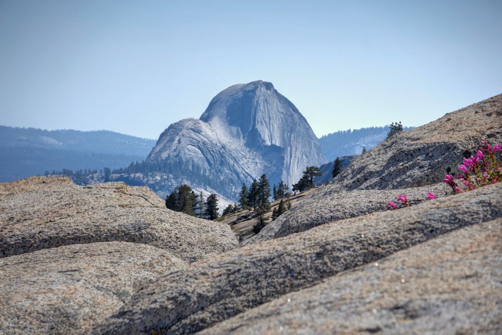 Diamond, Granite Rocks, and Half Dome

A photographer friend and I went on a road trip in the Sierra Nevada mountains to photograph the Stone Columns at Crowley Lake near Mammoth Lakes. The following day we returned via Tioga Pass through Yosemite National Park. This is the highest highway pass in California at an elevation of 9,945 ft (3,031 m). We stopped at Olmsted Point, which offers views of Yosemite's iconic Half Dome. I scaled a nearby rock formation to capture this diamond-shaped composition featuring the granite landscape with Half Dome in the background.

-- ƒ/6.3, 125 mm, 1/800, 1/1250, 1/3200, 1/4000 sec, ISO 400, Sony A6400, SEL-P1650, HDR, CC BY-NC-SA 4.0, © 2025 Peter Thoeny, Quality HDR Photography