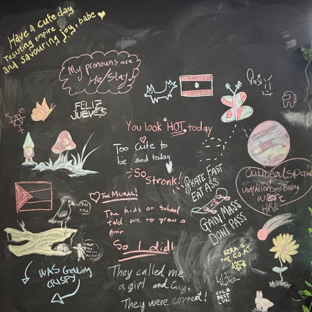 A chalkboard wall covered in colourful joyous phrases written by trans gym participants including “gain mass, don’t pass”, “the kids at school told me to grow a pair — so I did!” and “my pronouns are he/slay”.