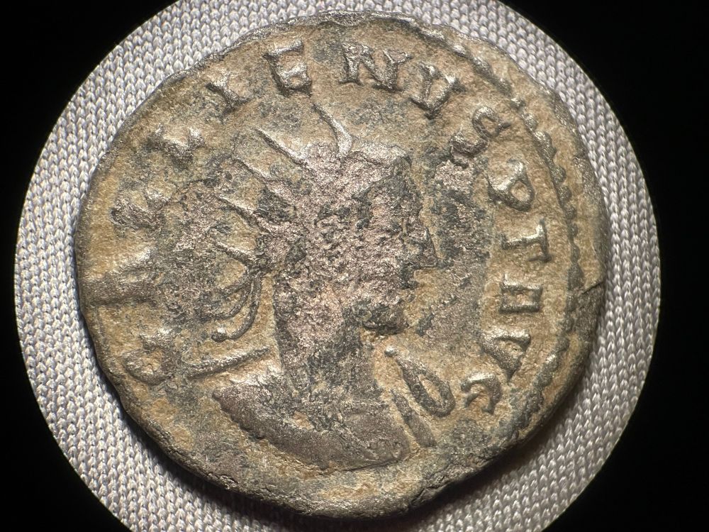Obverse GALLIENVS P F AVG
Bust of Gallienus right, radiate, drapery on shoulder