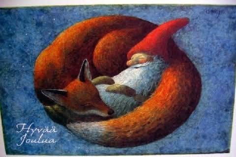 Red fox and gnome or tomte curled up together in a circle.
