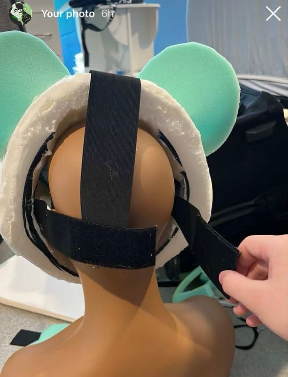 Rear view of a fursuit head, showing adjustable Velcro straps.