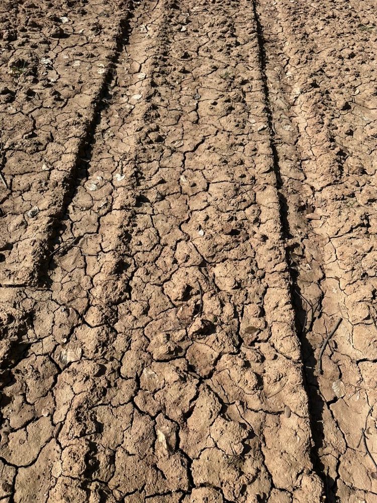 dry and cracked field in Herefordshire UK 5th April 2025
