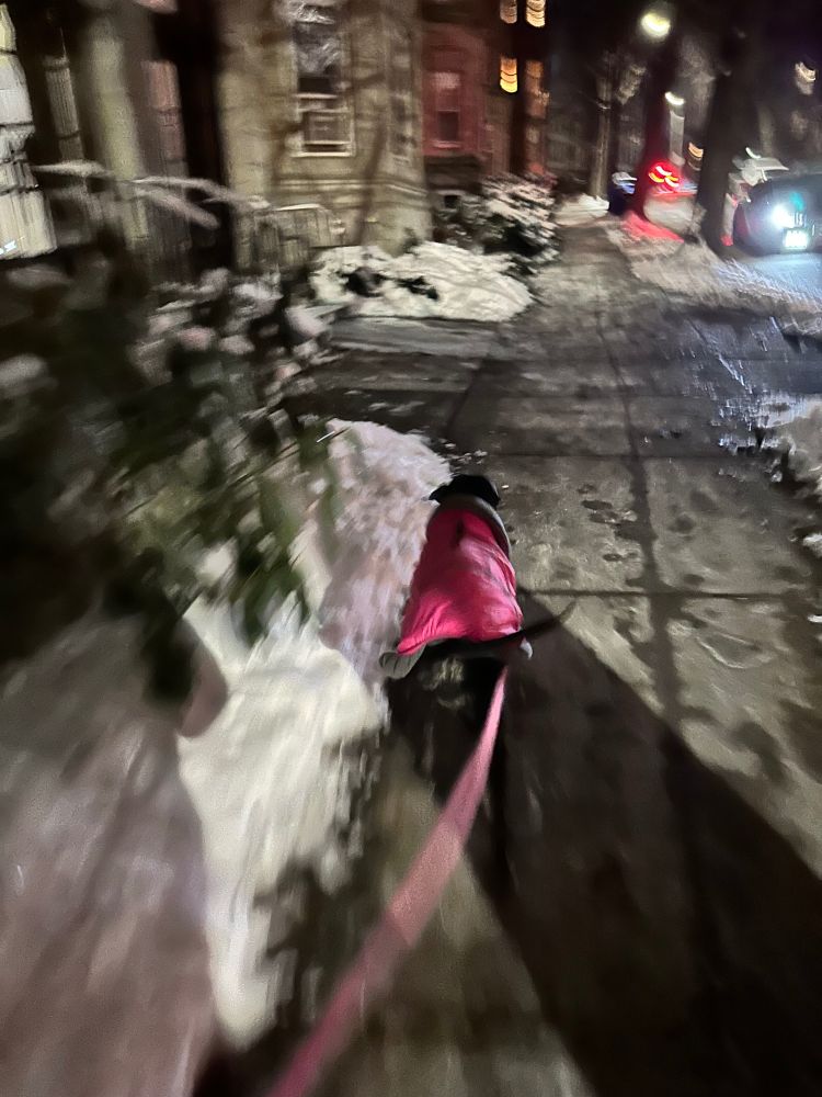 A super blurry picture of Worm running down the sidewalk at night.