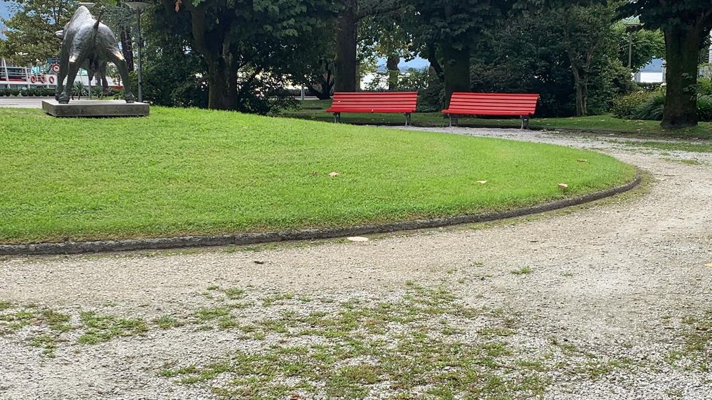 Mitten in einem der Parks von Locarno laden diese Bänke zu einer Pause ein. Ein perfekter Ort, um die Natur zu geniessen und abzuschalten.

#Locarno #Parkleben #SchweizerNatur #Bankgenuss…