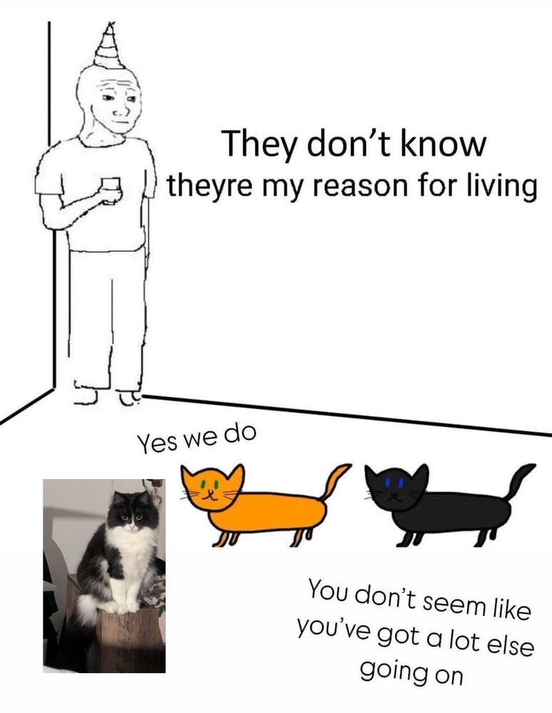 A meme with a figure in the corner at a party saying 'They don't know they're my reason for living'. Two cartoon cats stand in front of the figure saying 'Yes we do. You don't seem like you've got a lot else going on.' The author has added a picture of their cat next to the cartoon cats.