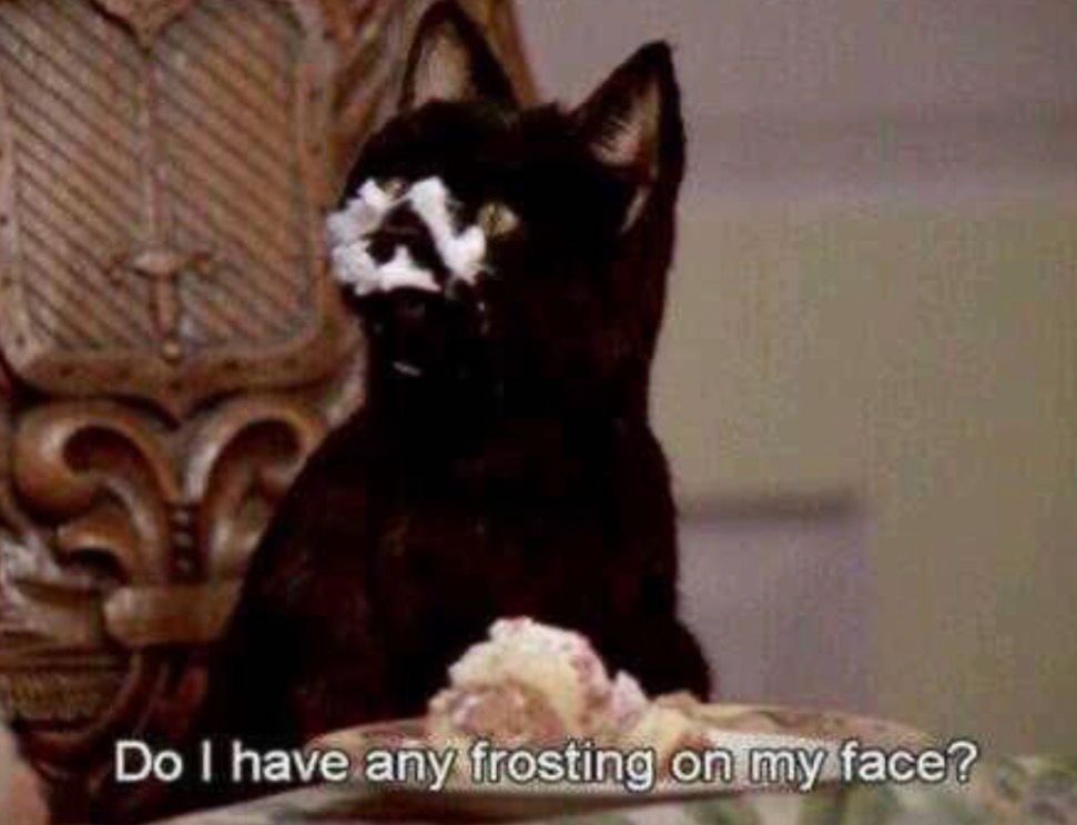 Salem the cat saying do I have any frosting on my face 