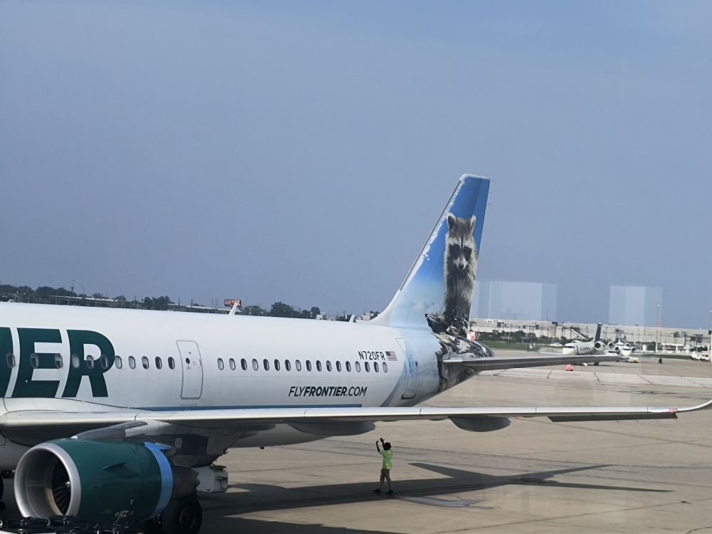 A Frontier Airlines plane with a picture of a raccoon on its tail