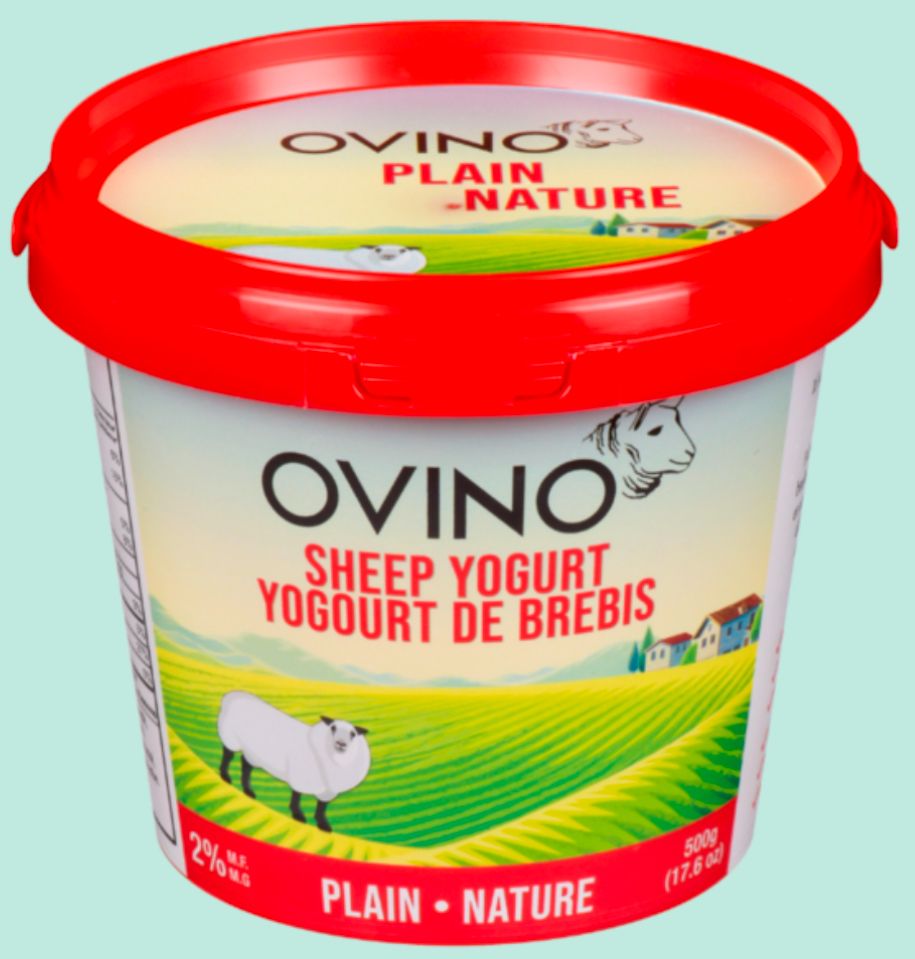 Tub of Ovino plain sheep yogurt.
Image shows a white sheep in green pastures, and a farmhouse I ten background. 
Dairy farm in Ontário, Canada 🇨🇦 