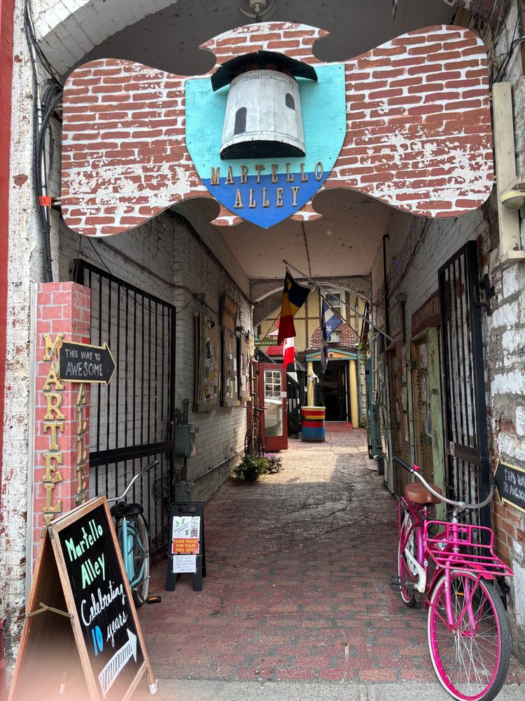 Alley Roth art snd and a pink bicycle - called Martell Alley 